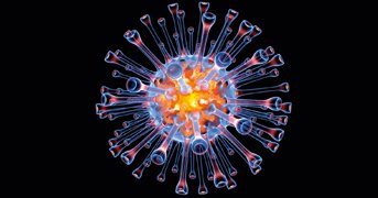 PASIEKA / SCIENCE PHOTO LIBRARY