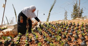 Majdi Mohammed/ap photo