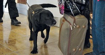 FOTOS: ROBYN BECK, US MARSHALS SERVICE - AFP
