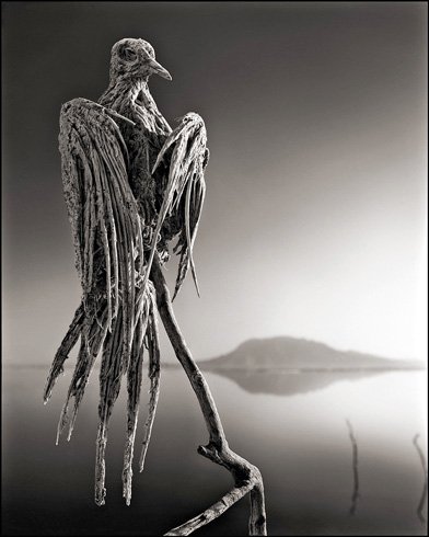 Nick Brandt